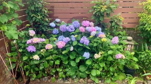 Afbeelding uit fotogalerij van CASA HORIZONTE in Hachioji