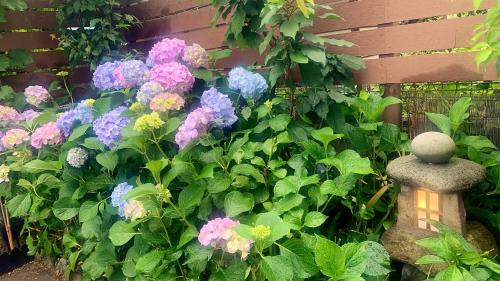 Afbeelding uit fotogalerij van CASA HORIZONTE in Hachioji