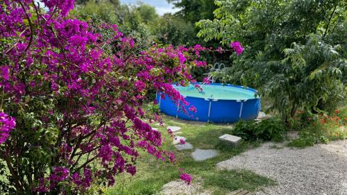 Maison, Piscine, Jardin & Calme