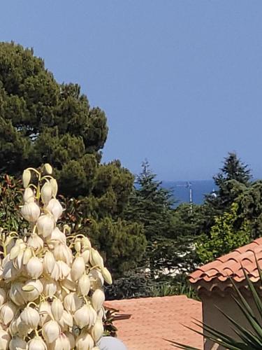 Villa Rasoa photo 29