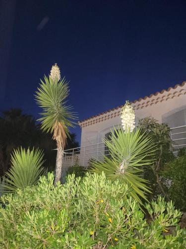 Villa Rasoa photo 31