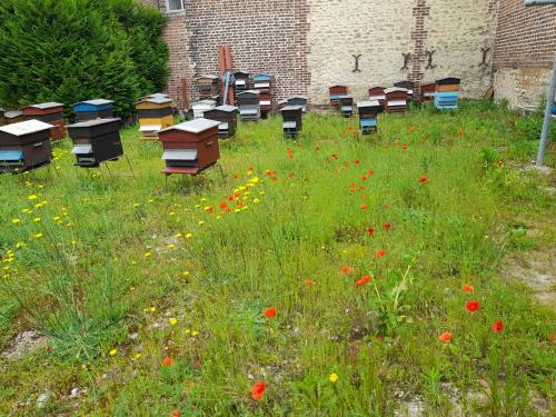 un groupe de bureaux assis dans un champ de fleurs dans l'établissement Studio Danton, à Troyes