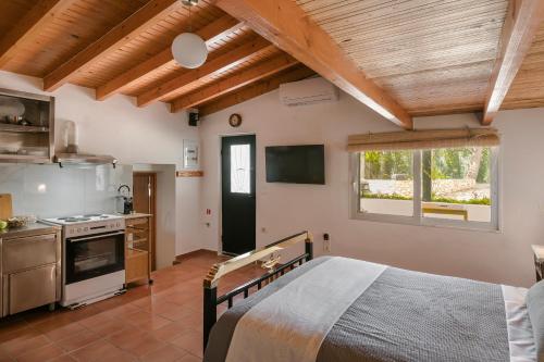 Gallery image of Villa Noi - Zoi The Studio in Andipáta Erísou