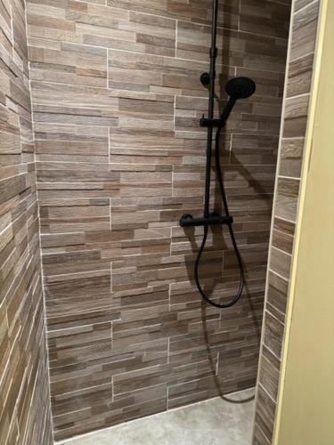 a shower in a bathroom with a wooden wall at Le STUDIO DUO CITE MEDIEVAL SARLAT in Sarlat-la-Canéda