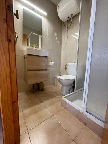 a bathroom with a shower and a toilet and a sink at Studio Cielo- pool, wi-fi & more in Los Urrutias