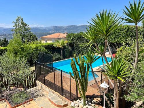 une piscine dans un jardin planté de palmiers dans l'établissement La Missidi - Belle villa provençale avec piscine, à Nice