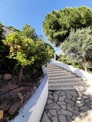 Villa Rasoa photo 50