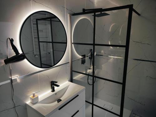 a bathroom with a sink and a mirror at Red Kot Lisia 12 in Zielona Góra