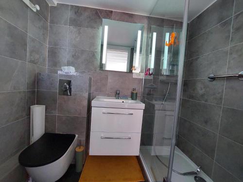 une salle de bain avec toilettes, lavabo et douche dans l'établissement Charmant appart rénové à 50m de la plage avec balcon et parking - FR-1-550-78, à Royan