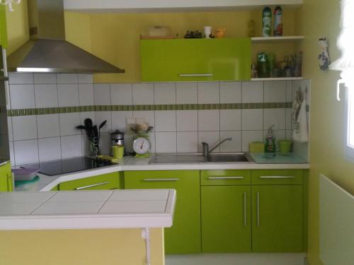 - une cuisine verte avec des placards verts et un évier dans l'établissement Maison avec Piscine Chauffée, Proche Plage, 3 Chambres, Jardin Clôturé, Wifi Inclus à St Hilaire de Riez - FR-1-652-44, à Saint-Hilaire-de-Riez