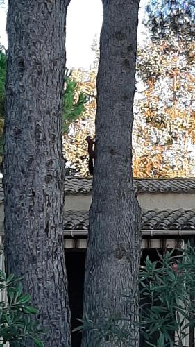Villa Rasoa photo 44