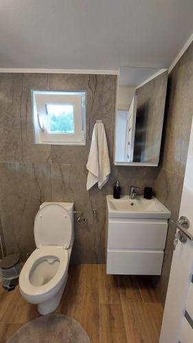 a bathroom with a toilet and a sink and a window at Tiny Moldovibe in Filioara