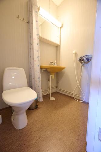 a bathroom with a toilet and a sink at Liekorannan Majatalo- kodinomaista majoitusta rautatieasemaa vastapäätä in Sastamala