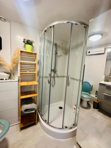 La salle de bains est pourvue d'une douche, d'un lavabo et de toilettes. dans l'établissement Maison avec jardin et piscine, à La Motte