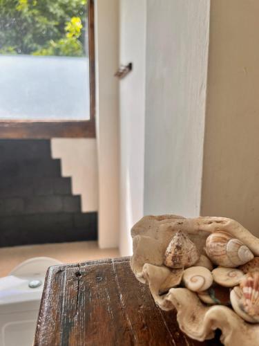 a pile of shells sitting on top of a wooden table at Vertical House Bali in Uluwatu