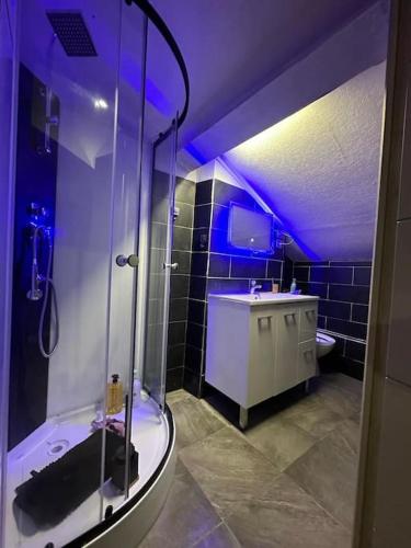 une salle de bain avec une douche en verre et un lavabo dans l'établissement Centre-ville, Vileurbane, à Villeurbanne