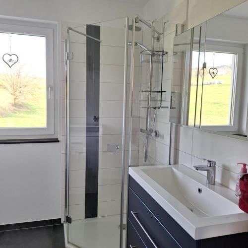 a bathroom with a sink and a glass shower at Ferienwohnung BergPanorama Rhön in Gersfeld