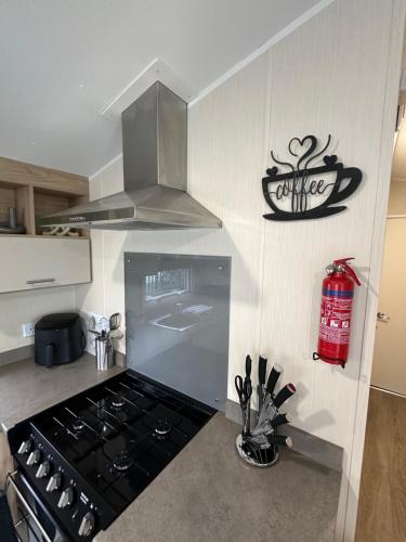 a kitchen with a stove top oven in a kitchen at 6 berth Waterside Ingoldmells R10 SANTANAVAN 7 in Ingoldmells