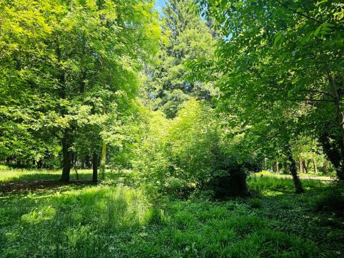 a wooded area with trees and grass in a field at Gardenia Park Hotel in Bansko