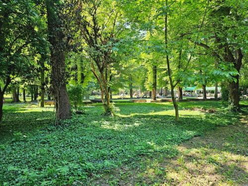 a park with trees and green leaves on the grass at Gardenia Park Hotel in Bansko