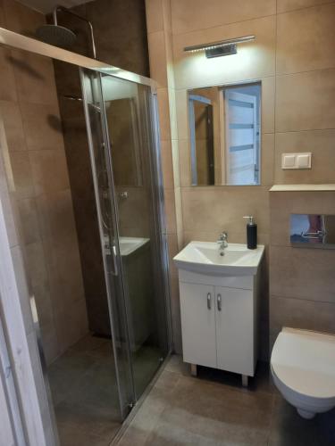 a bathroom with a shower and a sink and a toilet at Domek Ga-Ba in Sarbinowo