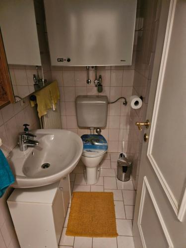 Baño pequeño con aseo y lavamanos en Wohnung im Nationalpark Kalkalpen 1, en Reichraming