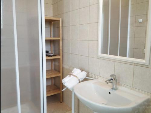 斯佩隆加的住宿－Villa Rosa - Sperlonga Vertice Rooms，浴室配有盥洗盆和带镜子的淋浴