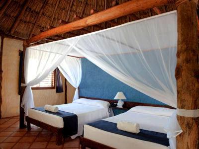 1 dormitorio con 2 camas y pared azul en Holbox by Xaloc, en Isla Holbox