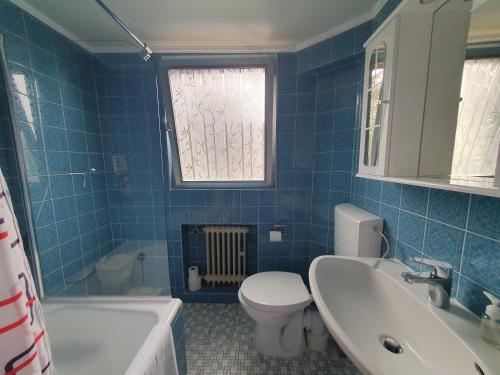 Baño de azulejos azules con aseo y lavamanos en Privatzimmer an der Uniklinik Mainz, en Mainz