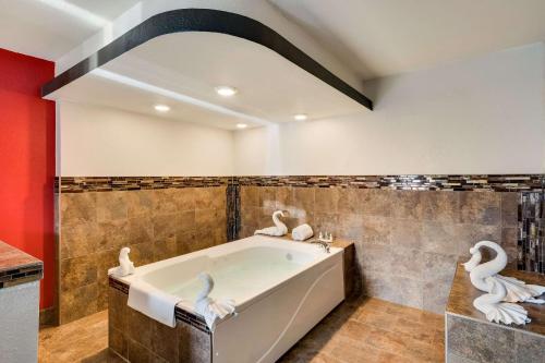 Clarion Inn & Suites Russellville I-40 في روسيلفيل: حمام مع حوض استحمام مع بجعات على الحائط