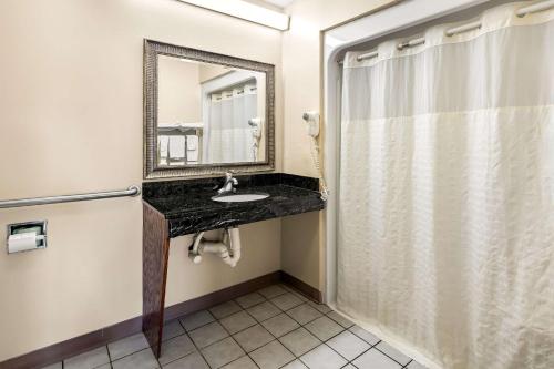 ディケーターにあるQuality Inn Decatur River Cityのバスルーム(洗面台、鏡付)