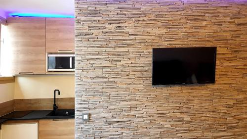 Elle est dotée d'un mur en pierre et d'une télévision à écran plat. dans l'établissement auron, à Saint-Étienne-de-Tinée