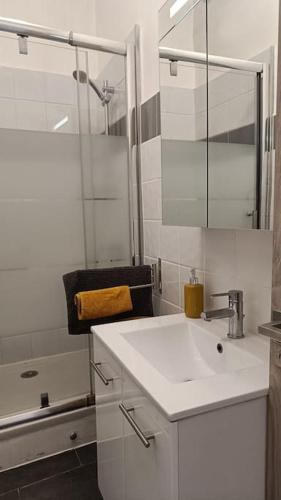 une salle de bain blanche avec un lavabo et une douche dans l'établissement Mon Jardin Secret Marseillais avec terrasse dans le quartier le plus cool du Monde, à Marseille
