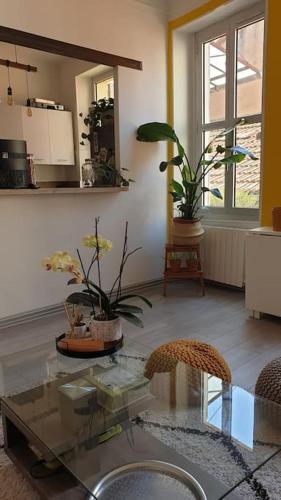 un salon avec une table en verre et des plantes en pot dans l'établissement Mon Jardin Secret Marseillais avec terrasse dans le quartier le plus cool du Monde, à Marseille