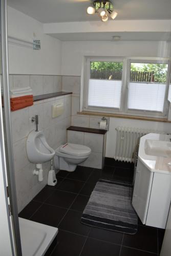 a bathroom with a toilet and a sink at Ferienwohnung Am Steigerwaldrand in Sugenheim