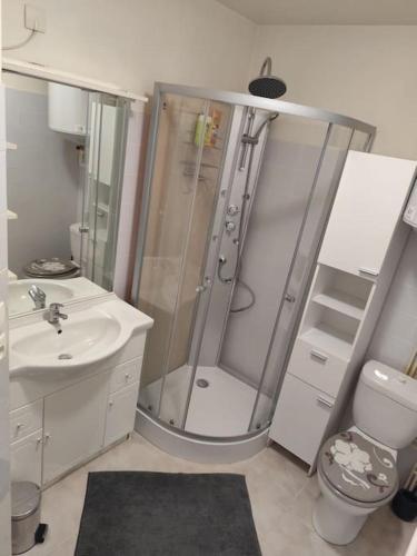 une salle de bain avec une douche, des toilettes et un lavabo dans l'établissement Maisonnette à 5 minutes d'Albi, à Carlus