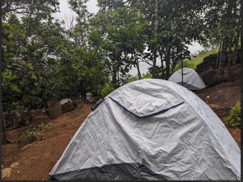 Landskap semula jadi dekat dengan perkhemahan ini