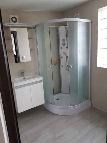un bagno con doccia e lavandino di Casa Toni a Bistriţa