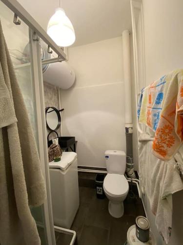 a small bathroom with a toilet and a light at Cosy place in historic building in Šilutė