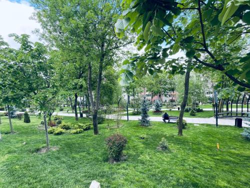 a park with trees and a person sitting on a bench at La Burini in Vaslui