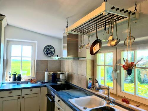 a kitchen with a sink and a counter top at Alte und Neue Büdnerei in Groß Zicker