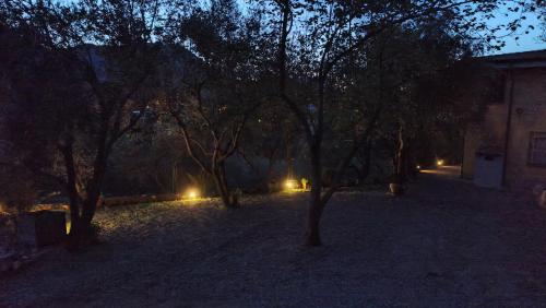 a lit up yard with trees and lights at night at Artist's Home in Jerzu