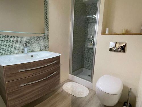 une salle de bain avec toilettes, lavabo et douche dans l'établissement Studio rénové 1er étage pour 4 pers. - Le Grand-Bornand - FR-1-458-182, au Grand-Bornand
