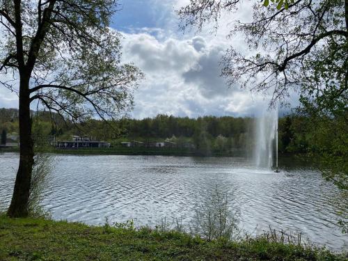 a fountain in the middle of a lake at Schöne Wohnung im Landhausstil nahe Olpe Biggesee in Olpe