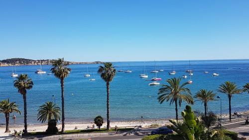 une plage avec des palmiers et des bateaux dans l'eau dans l'établissement Joli studio à Bandol (Var), à Bandol