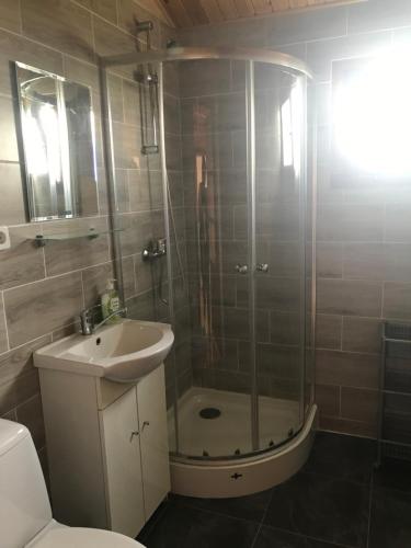 a bathroom with a shower and a sink and a toilet at Domki na Wzgórzu in Ryn