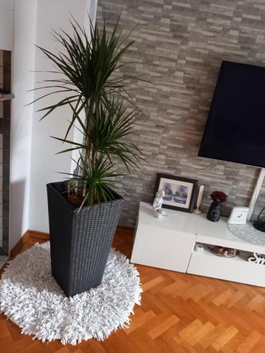 TV a/nebo společenská místnost v ubytování Apartman Petra