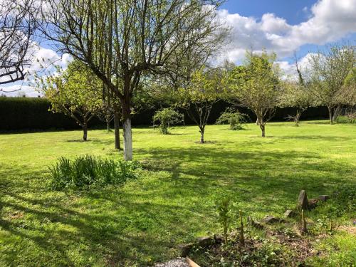 a field of green grass with trees in it at Le Petit Paradis de Marcelise in Le Ponchel