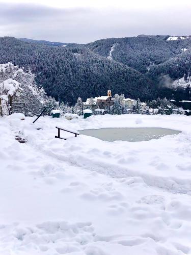 a snow covered field with a pond in the distance at Chalet Tschattlhof Dolomites in Ponte Nova