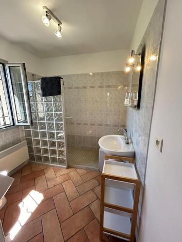 a bathroom with a shower and a sink and a toilet at Estrambord Appart Terrasse Camargue in Arles